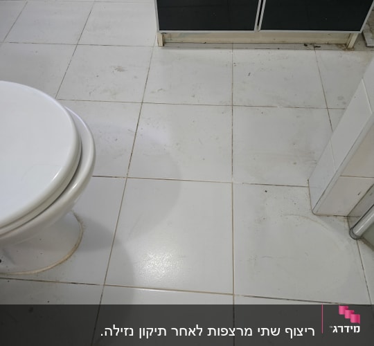 רצפת חדר אמבטיה עם אריחים לבנים ושירותים